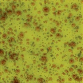 Pistachio - 16 oz Mayco Jungle Gem Crystal Glaze Pistachio - 16 oz Mayco Jungle Gem Crystal Glaze